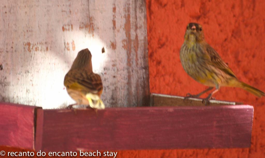 Recanto Do Encanto Florianopolis Ngoại thất bức ảnh